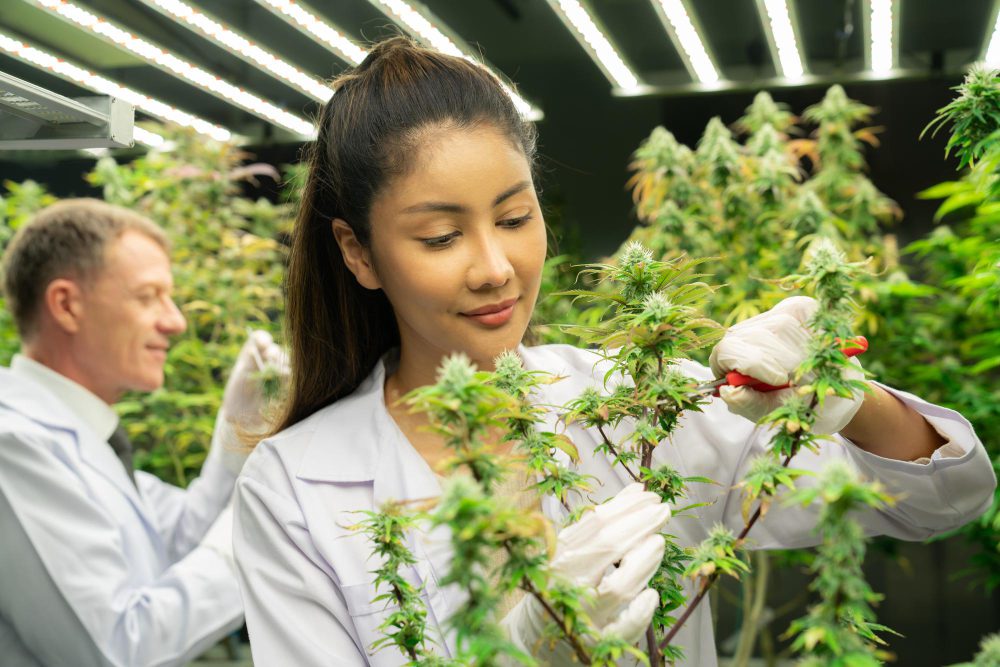 sustainable beauty supply chain china traceability organic