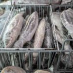 China's Food Export Landscape Amid Trade Thaws and Policy Twists